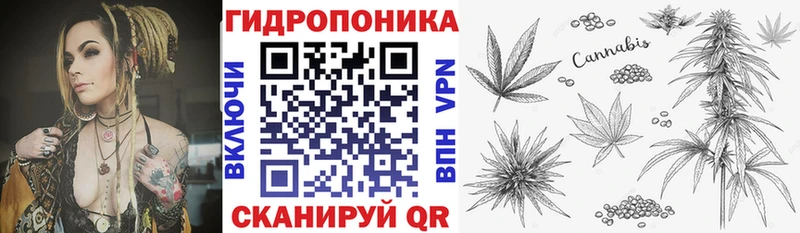 Где купить наркотики Дорогобуж Гашиш  Альфа ПВП  МЕФ  Бошки Шишки 