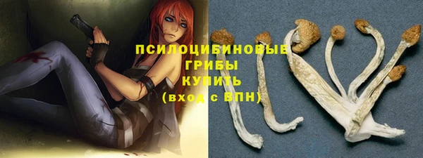 ПСИЛОЦИБИНОВЫЕ ГРИБЫ Верея