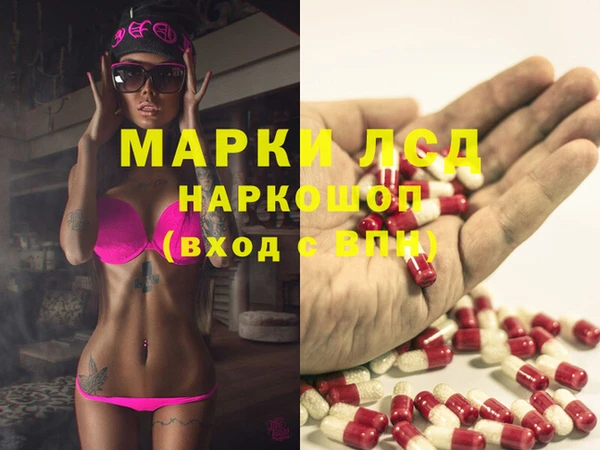 прущие грибы Верхний Тагил