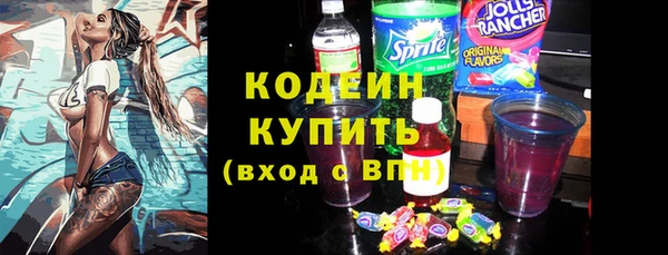 прущие грибы Верхний Тагил