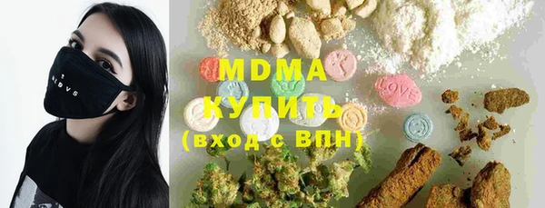 прущие грибы Верхний Тагил